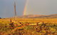 Eldee Station Accommodation, Caravan And Campsites - thumb 2