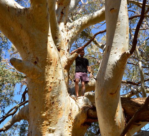 Eldee Station Accommodation, Caravan And Campsites - Port Augusta Accommodation 5