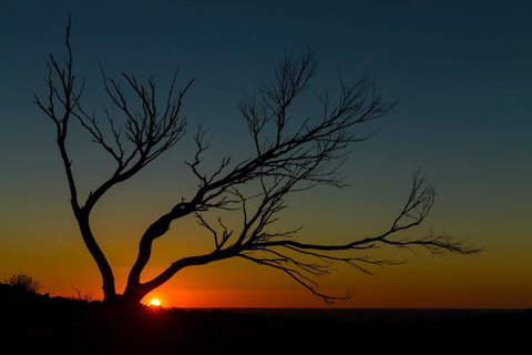 Eldee Station Accommodation, Caravan And Campsites - Port Augusta Accommodation 10