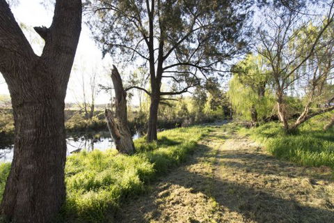Fossickers' Tourist Park - Port Augusta Accommodation 9