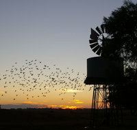 Nevertire Hotel - Port Augusta Accommodation