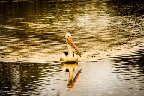 River Shack Rentals - Living The Dream - Port Augusta Accommodation 55