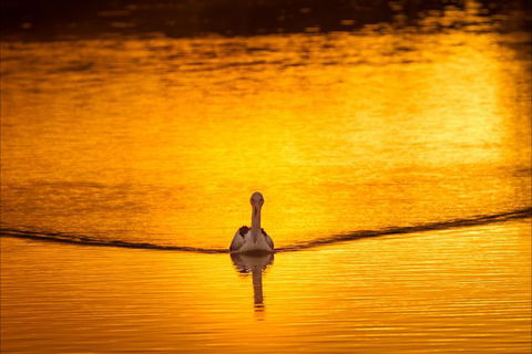 River Shack Rentals - Living The Dream - Port Augusta Accommodation 0
