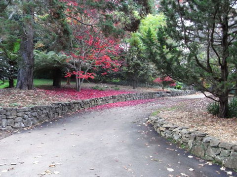 The Jungle Lodge, Blue Mountains Botanic Gardens - Port Augusta Accommodation 5