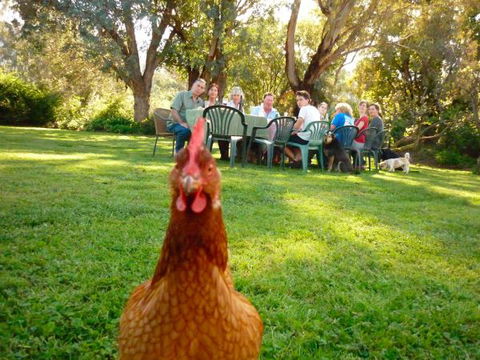 Baranduda Homestead B&B Cottages - Port Augusta Accommodation 9