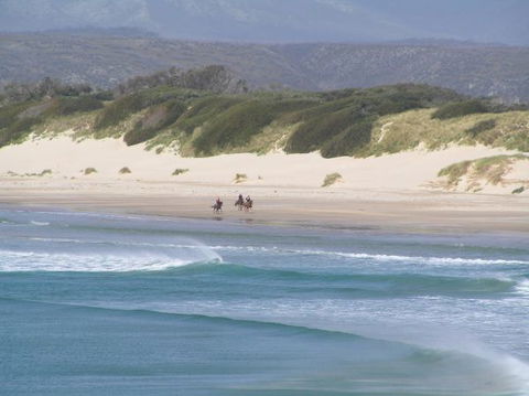 Arties Cottage Accommodation - Port Augusta Accommodation 5