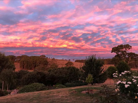 Avaleigh Elms Farmstay - Port Augusta Accommodation 5