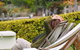 Douglas Riverside - thumb 6