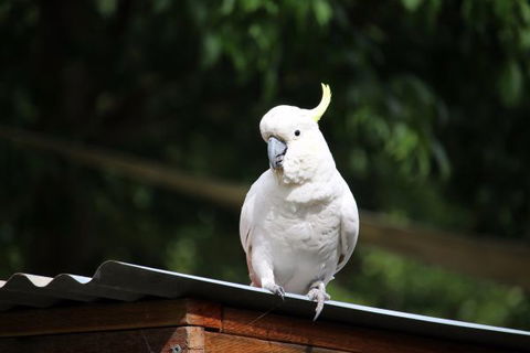 Jamieson Caravan Park - Port Augusta Accommodation 2