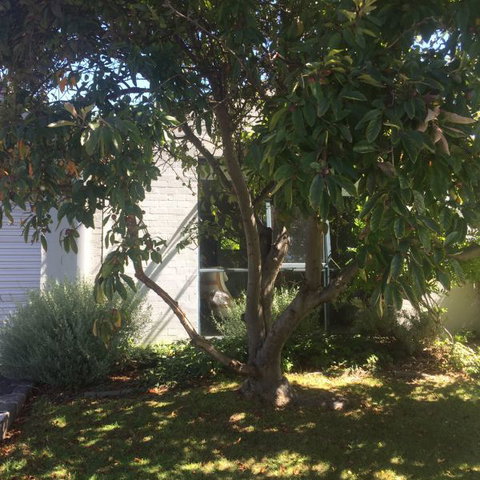 Sea-Ena - Port Augusta Accommodation 2