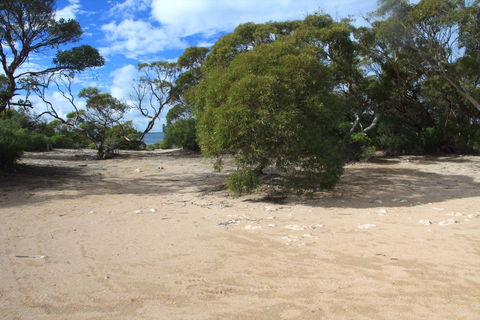 Acraman Creek Conservation Park Campgrounds - Port Augusta Accommodation 0