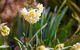 Amaroo Farm - thumb 7