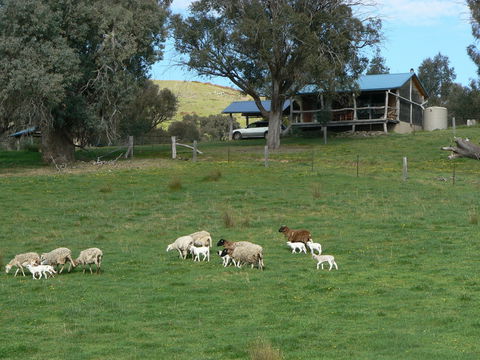Gaddleen Grove Cottages - Port Augusta Accommodation 0