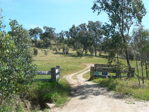 Gaddleen Grove Cottages - Port Augusta Accommodation 3