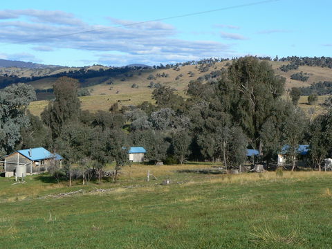 Gaddleen Grove Cottages - Port Augusta Accommodation 7