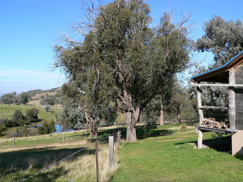 Gaddleen Grove Cottages - Port Augusta Accommodation 9