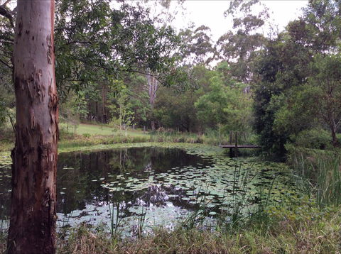 Maleny Country Cottages - Port Augusta Accommodation 3