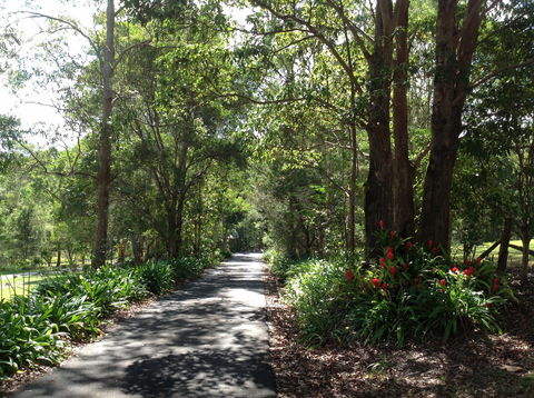 Maleny Country Cottages - Port Augusta Accommodation 8