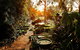 The Regents Park - thumb 5