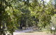 Bandalong Cottages - thumb 1
