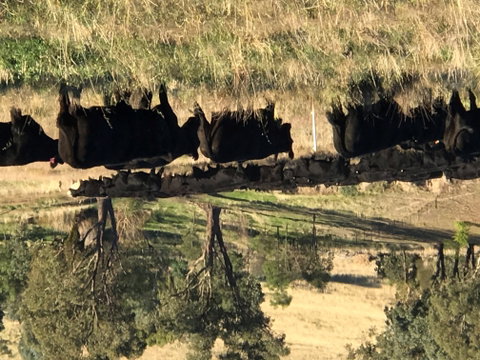 Bibbaringa Shearers Quarters And The WoolShed - Port Augusta Accommodation 9