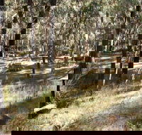 Greenbah campground