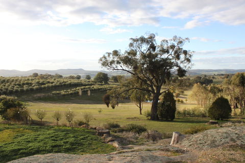 L'Oliveraie - Port Augusta Accommodation 3