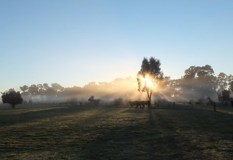 Mackereth's Hedon Farm - Port Augusta Accommodation 1
