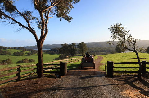 Harvey Hills Farm Stay Chalets - Port Augusta Accommodation 1
