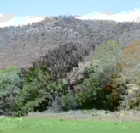 Jessica's Guest House and Vineyard - Port Augusta Accommodation