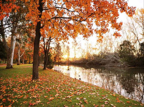 Reflections Holiday Park Cudgegong River - Temporarily Closed - Port Augusta Accommodation 1
