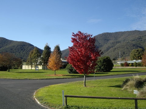 Talbingo Country Club - Port Augusta Accommodation 1