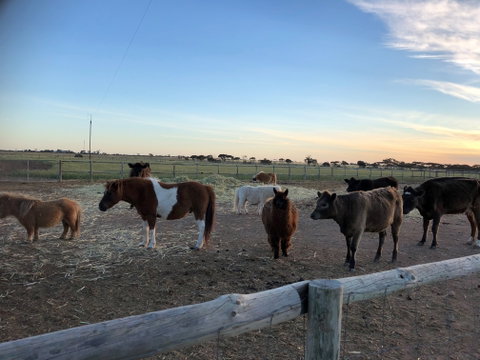 Tarnasey Farm - Bump's Barn - Port Augusta Accommodation 1