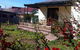 Bamboo Cottage - thumb 0