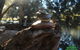 Billy Grace Reserve - thumb 2