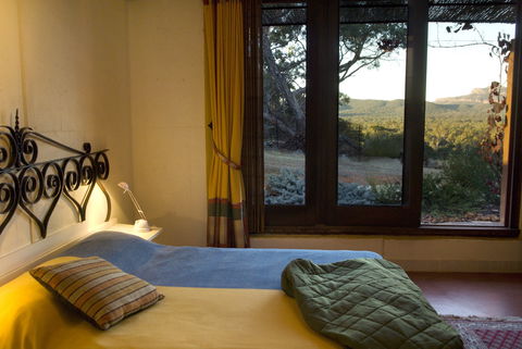 Kangaroos In The Top Paddock - Port Augusta Accommodation 1