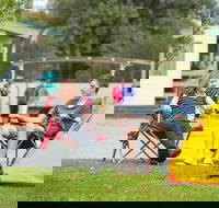 Yorketown Caravan Park - Port Augusta Accommodation