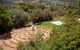 Avalon Homestead - thumb 5