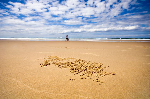 BIG4 Nambucca Beach Holiday Park - Port Augusta Accommodation 1