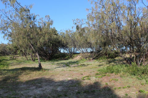 K'gari (Fraser Island) Camping, Great Sandy National Park - Port Augusta Accommodation 1