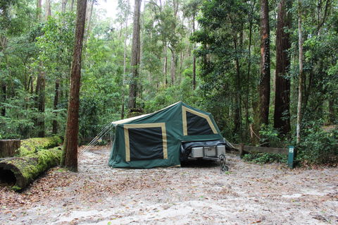 K'gari (Fraser Island) Camping, Great Sandy National Park - Port Augusta Accommodation 2