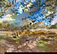 Kings Plains Creek campground - Port Augusta Accommodation