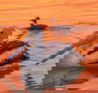 4 Pelican Court - River Shack Rentals - Port Augusta Accommodation