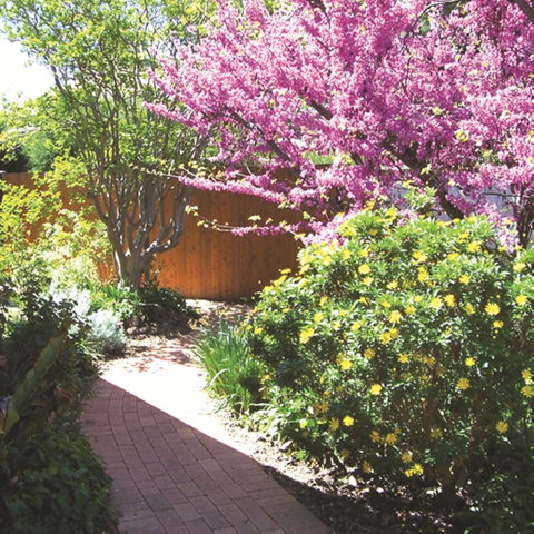 Country Gardens Motor Inn - Port Augusta Accommodation 1