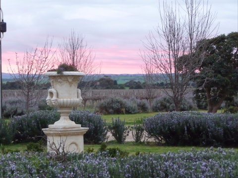 Angas Plains Wines Suites - Port Augusta Accommodation 2