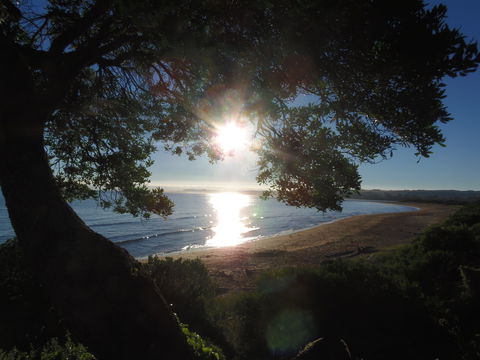 Apex Beachside Holiday Park - Port Augusta Accommodation 1