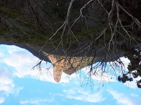 The Barn  House Farm Stay At Possum Manor - Port Augusta Accommodation 1