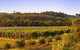 Wallace Heritage Homestead - thumb 5