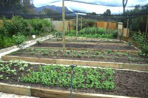 Wartook Gardens - Port Augusta Accommodation 3