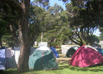 QueenscliffeTourist Park - Port Augusta Accommodation 2